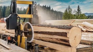 Extreme Sawmill Live Power Precision and Adrenaline [upl. by Oyek]