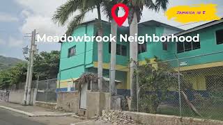 Meadowbrook Neighborhood Jamaica [upl. by Alatea245]