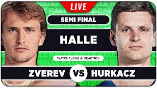 ZVEREV vs HURKACZ • ATP Halle 2024 SF • LIVE Tennis Watchalong Stream [upl. by Byran]