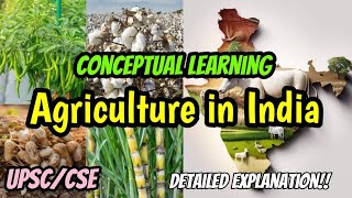 Agriculture in India Geography  Major Crops of IndiaRabikharifZaid Crops agriculture upsc [upl. by Yrocej510]