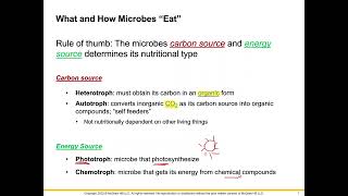 Biol 2117 Chapter 6 Microbial Nutrition and Growth [upl. by Cesya865]