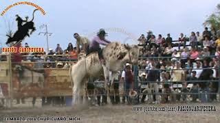 DESTRUCTORES DE MEMO OCAMPO vs INDOMABLES DE CHARO EN CHUPICUARO MICH 24 MARZO 2014 [upl. by Gretta]