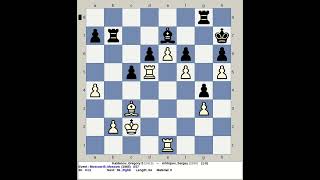 Kaidanov Gregory S vs Arkhipov Sergey  Moscow Chess B 1985 Russia [upl. by Oniger]