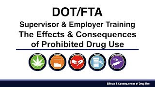 DOT Drug Abuse Awareness Video amp Supervisor Training [upl. by Alohs651]