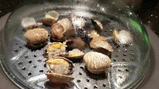 Vancouver Clams popping open in the steamer at Day amp Night Angus Beef Hot Pot [upl. by Yretsym]