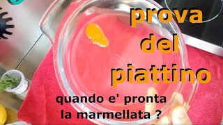 Metodo del piattino per riconoscere quando la marmellata e pronta [upl. by Ahtiuqal470]