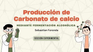 Fermentación alcohólica [upl. by Agustin]