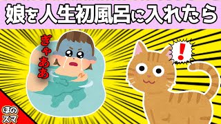 【2chほのぼの】娘を人生で初めてのお風呂に入れたら、その結果猫がすごいことになったwww [upl. by Haeel144]