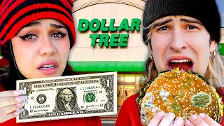 Eating Dollar Store Food ONLY For 24 Hours [upl. by Lourie100]