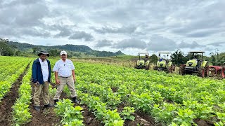 100000 Ha Soybeans Half Million Ha Sorghum Target ni Manny Piñol itanim sa Mindanao [upl. by Nalak174]