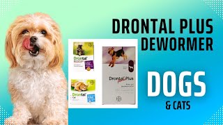 How to Deworm your Dog for Tapeworms using Drontal Plus and Best place to Purchase [upl. by Massingill927]