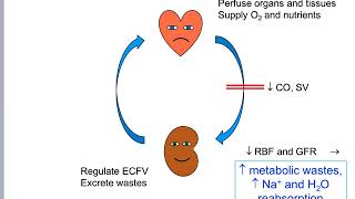 Cardiorenal Syndrome by Dr Lam [upl. by Yelsgnik360]