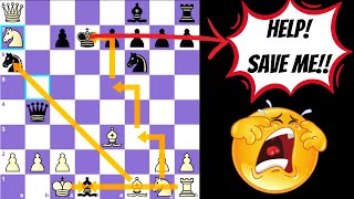 HALOSAR TRAP Variations  Ryder Gambit  Blackmar Diemer Gambit  Chess Trap for Black for Beginners [upl. by Kado]