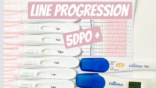 PREGNANCY TEST LINE PROGRESSION  515 DPO [upl. by Marlin]