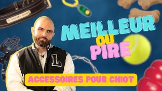 Les PIRES et les MEILLEURS accessoires pour chiot [upl. by Eniawtna]