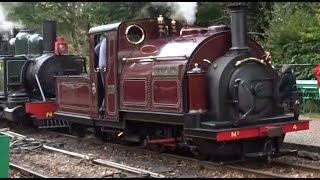 The Lynton and Barnstaple Railway Autumn Steam Gala 2024 [upl. by Medorra]