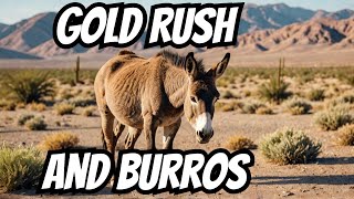 OATMAN ARIZONAS Best Kept Secret Wild Burros and Gold Mines [upl. by Aland]