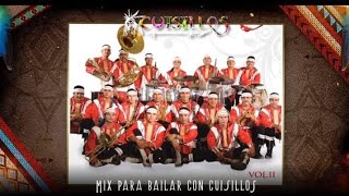 Banda Cuisillos Mix Cumbias Viejitas  Para Bailar Con La Tribu [upl. by Norreg268]