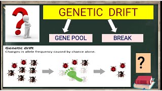 GENETIC DRIFT  BOTTLENECK EFFECT  FOUNDER EFFECT  EXPLAINED IN HINDI [upl. by Ominoreg]