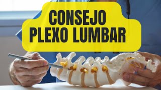 CONSEJO DEL PLEXO LUMBAR [upl. by Arica]