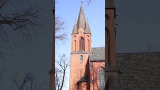 Entdecke Hanstedt  Shopping Kirche und Wildpark  LÜNEBURGER HEIDE shorts [upl. by Ettevroc]