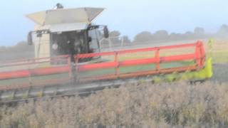 Żniwa 2012 rzepak  Harvest 2012 Colza  Claas lexion 600580 John Deere Hawe [upl. by Cornia]