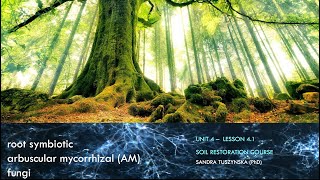 Lesson 41  Introduction to arbuscular mycorrhizal fungi AMF [upl. by Narok]