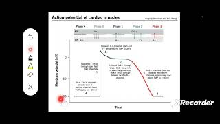 AntiArrhythmic Agents Medicinal Chemistry [upl. by Ellirpa]