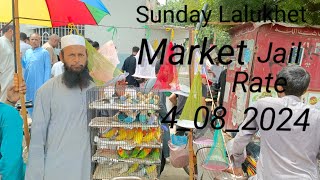 Sunday Lalukhet Market Farhan Birds Youtube Channel [upl. by Lucien324]