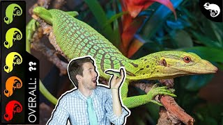 Green Tree Monitor The Best Pet Lizard [upl. by Camala]