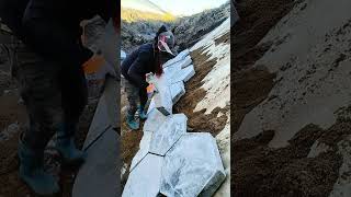 Working day 776 The process of installing hexagonal bricks on a slope [upl. by Naujek]