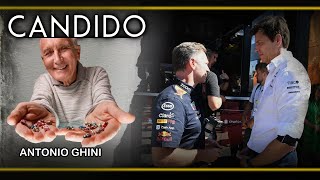 Ghini quotBudget cap F1 Un bene da preservarequot [upl. by Aiykan865]