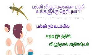 பல்லி விழும் பலன்கள் பற்றி உங்களுக்கு தெரியுமா  Palli Vilum Palan in tamil  balli sastram [upl. by Merow]