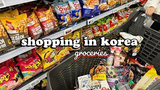 shopping in korea vlog 🇰🇷 grocery food haul with prices 🍑 cheap or expensive 💸💸 [upl. by Alehtse]