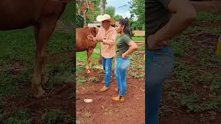 Deu certo fazenda roca vidanaroça sitio nature videoengraçado humor coisasderoca comedia [upl. by Berfield]