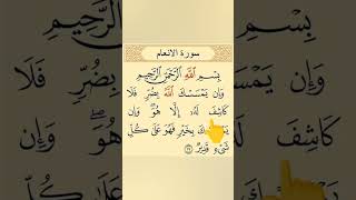 Quran Tilawat  Quran recitation  Beautiful Arabic  Amazing voice [upl. by Aloiv]