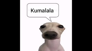 Kumalala Kumalala Kumala Savesta meme shots [upl. by Ebby]