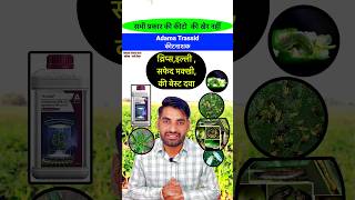 😍थ्रिप्स इल्ली सफेद मक्खी की दवा 👌 Adama Trassid  shorts insecticide thrips viralvideo [upl. by Anidualc643]