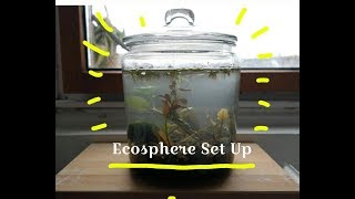 Big Ecosphere Set Up from local lake [upl. by Pollak482]