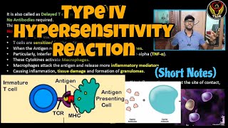 Type IV Hypersensitivity Delayed T Cell mediated Reaction  Tamil  Immunology  ThiNK Biology [upl. by Harve393]