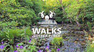 Cotter Force  Walks in the Yorkshire Dales National Park [upl. by Alurta]