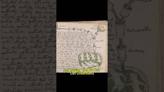 Voynich Manuscript [upl. by Aloeda653]