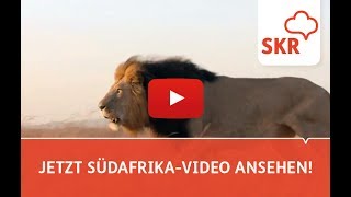 7 Gründe für Ihre Südafrika Reise [upl. by Alyag]