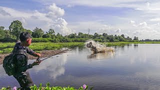 Casting Toman Buas Danau Air Hitam Pedalaman Riau Langsung Dibakar [upl. by Maloy]