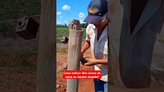 Aprenda como colocar catraca na cerca de arame liso agro dicas fazenda cerca [upl. by Draneb]