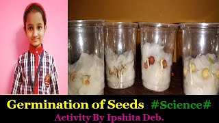 Germination Of Seeds Class IV Abdul in the Garden Experiment Science Activity  By Ipshita Deb [upl. by Haizek519]