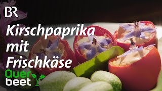 Gefüllte Kirschpaprika  Tipps von Sabrina [upl. by Ymas]