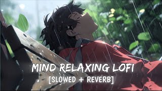 Mind Relax Lofi Song 💔🎵  Mind Relax Lofi Mashup  Sad Lofi Songs  Slowed and Reverb [upl. by Oelgnaed535]