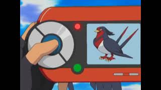 Taillow and Swellow Pokédex Entrieswmv [upl. by Abdul]