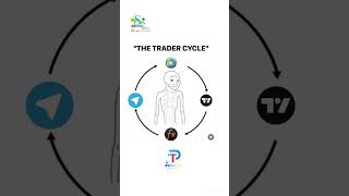 The trader cycle business trading [upl. by Light919]